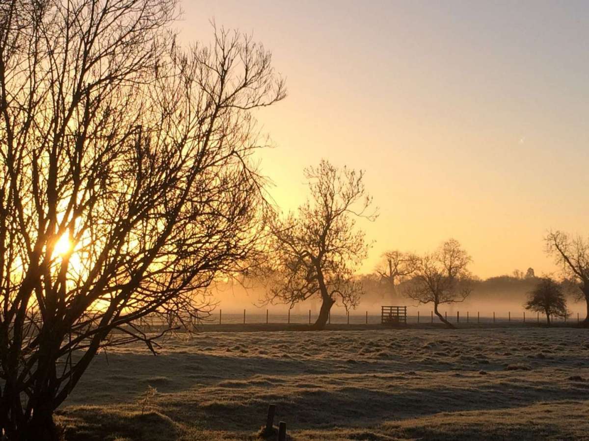 Mist over the fields surrounding Grimley village